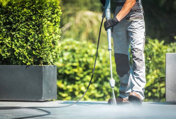 Best Animal Enclosure Cleaning  in Fairfield, TX